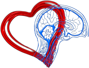 SIG on Designing Technology for Mental Wellbeing