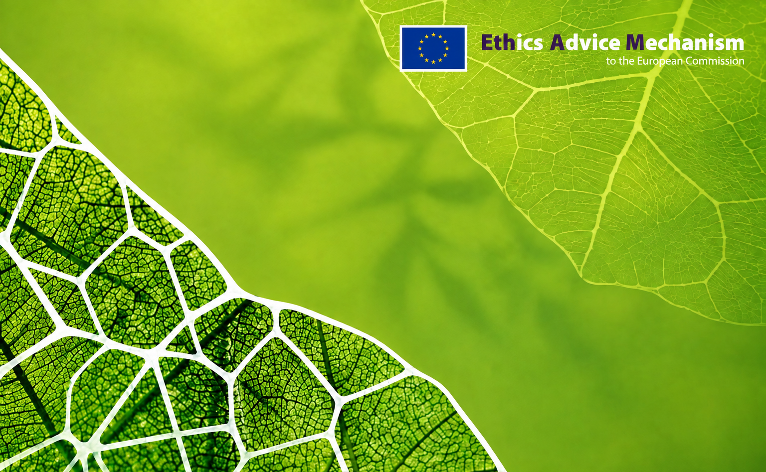 New EGE Opinion on Valuing Nature: Implications for EU Governance
